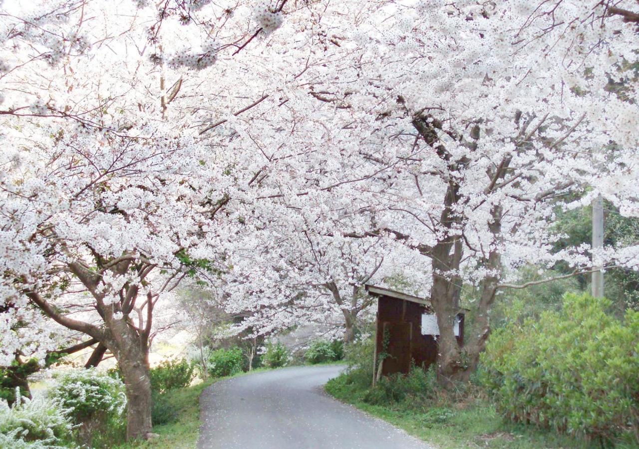 Nishiizu Matsuzaki Itoen Hotel Kültér fotó