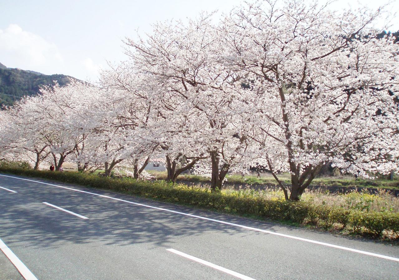 Nishiizu Matsuzaki Itoen Hotel Kültér fotó